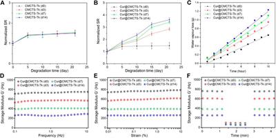 ROS-Eliminating Carboxymethyl Chitosan Hydrogel to Enhance Burn Wound-Healing Efficacy